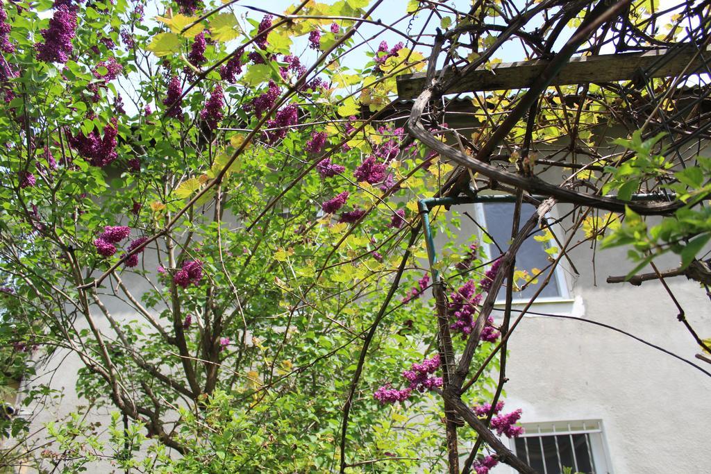 Apartment On Zaliznychna Львов Экстерьер фото